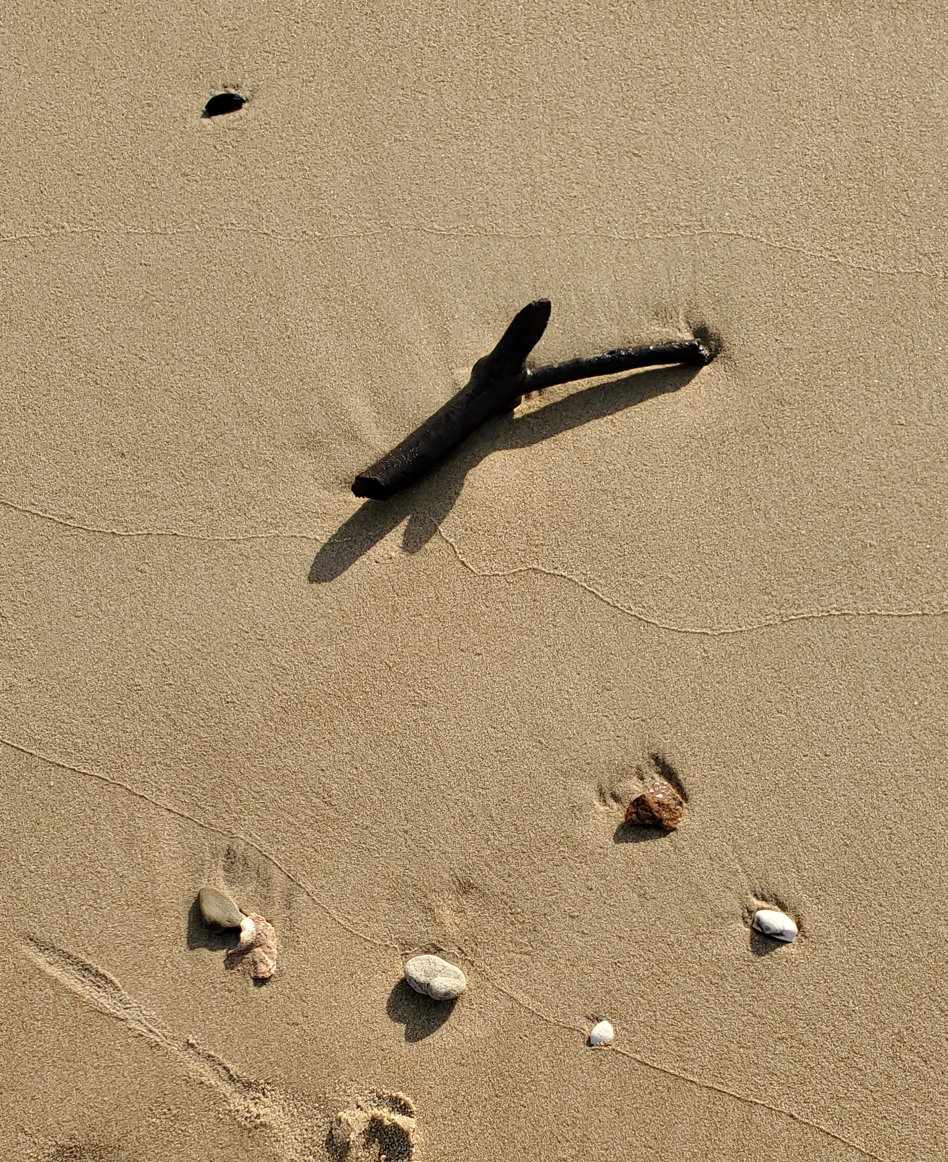  stick and pebbles