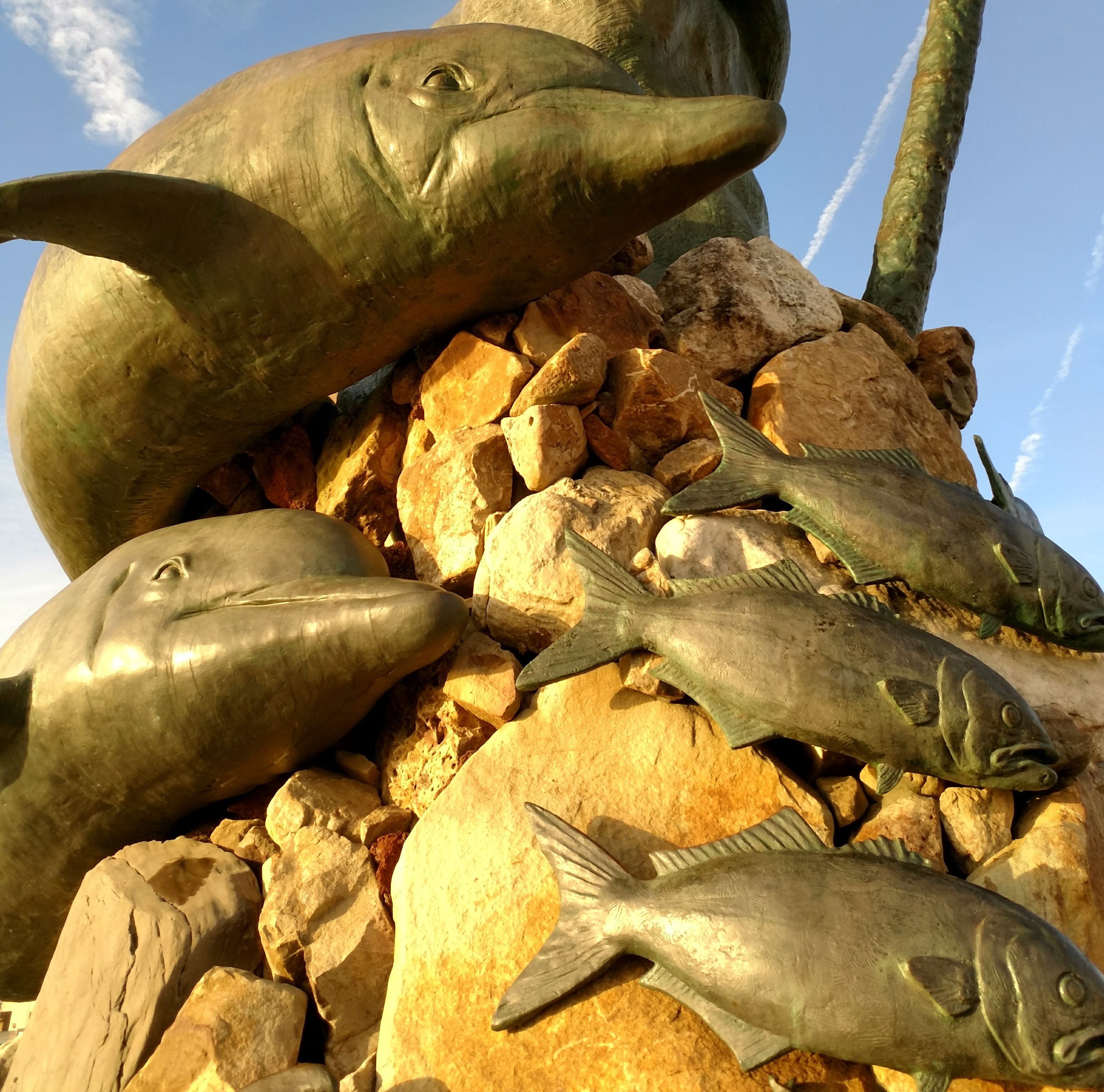 close-up of dolphins and fish on statue