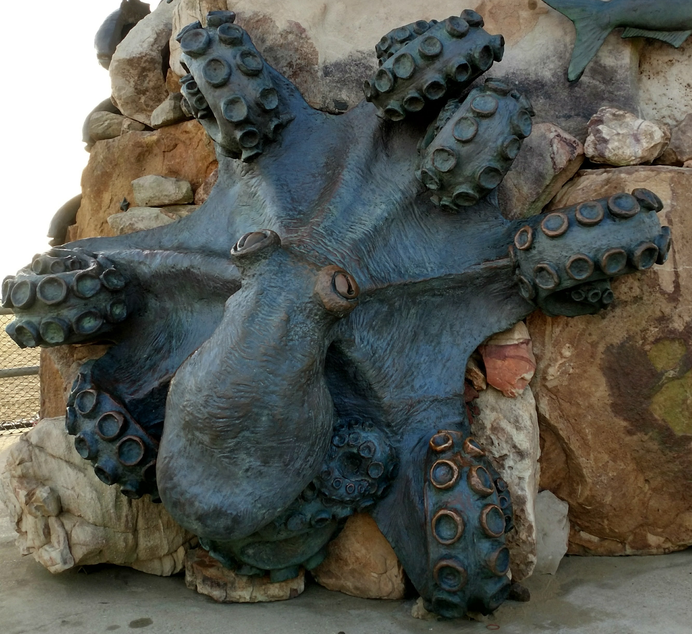 close-up of octopus on statue