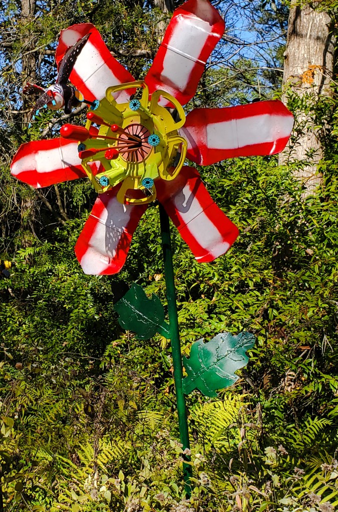 Close up of red and white petaled flower with humming bird feeding on flower.