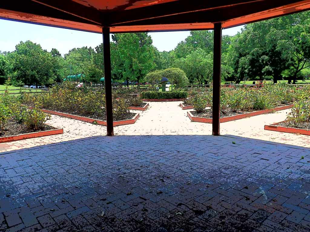 view of rose garden from shade of gazebo