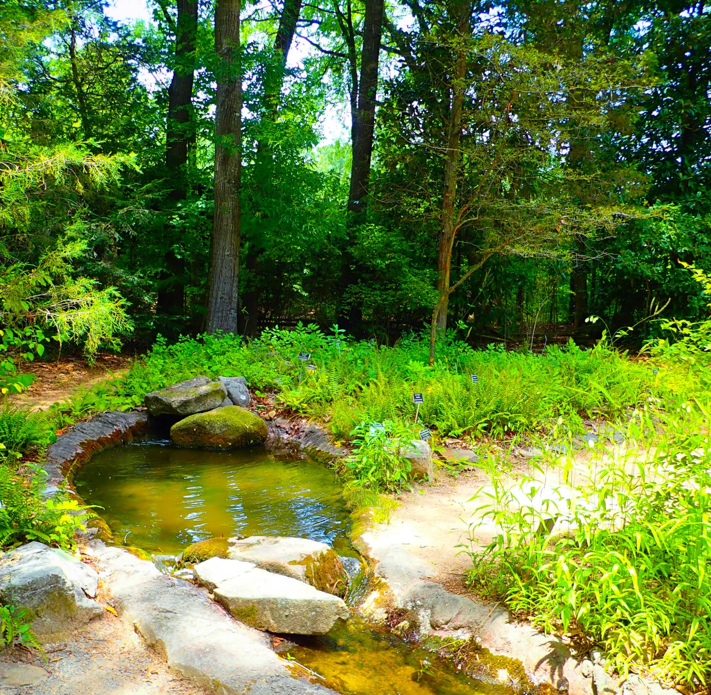North Carolina Botanical Garden