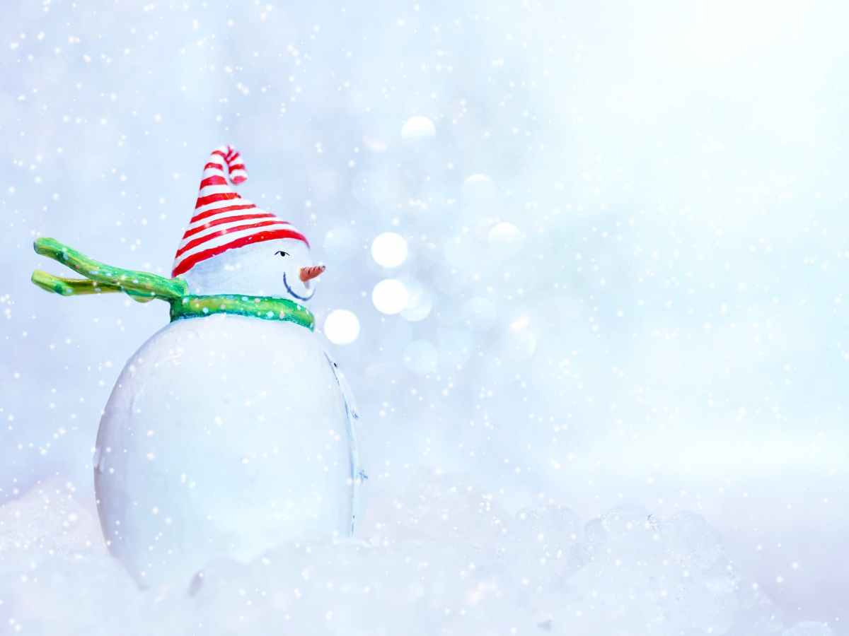 Counting Down the 6 Best Animated Christmas Shows on American Television in the&nbsp;70s