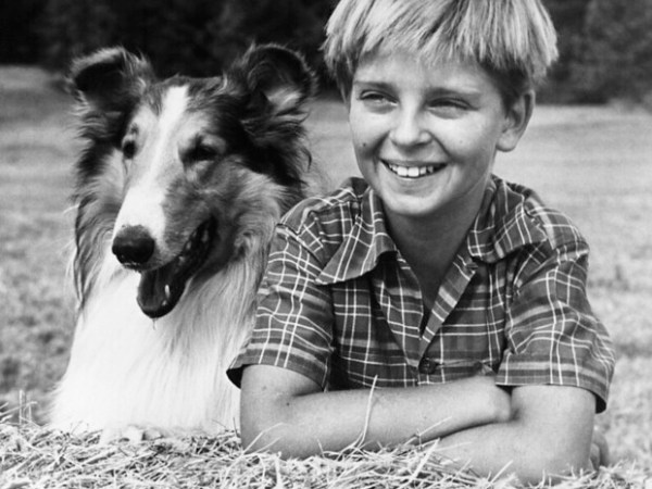 The Top 3 Live-Action Dogs on American TV in the&nbsp;’70s